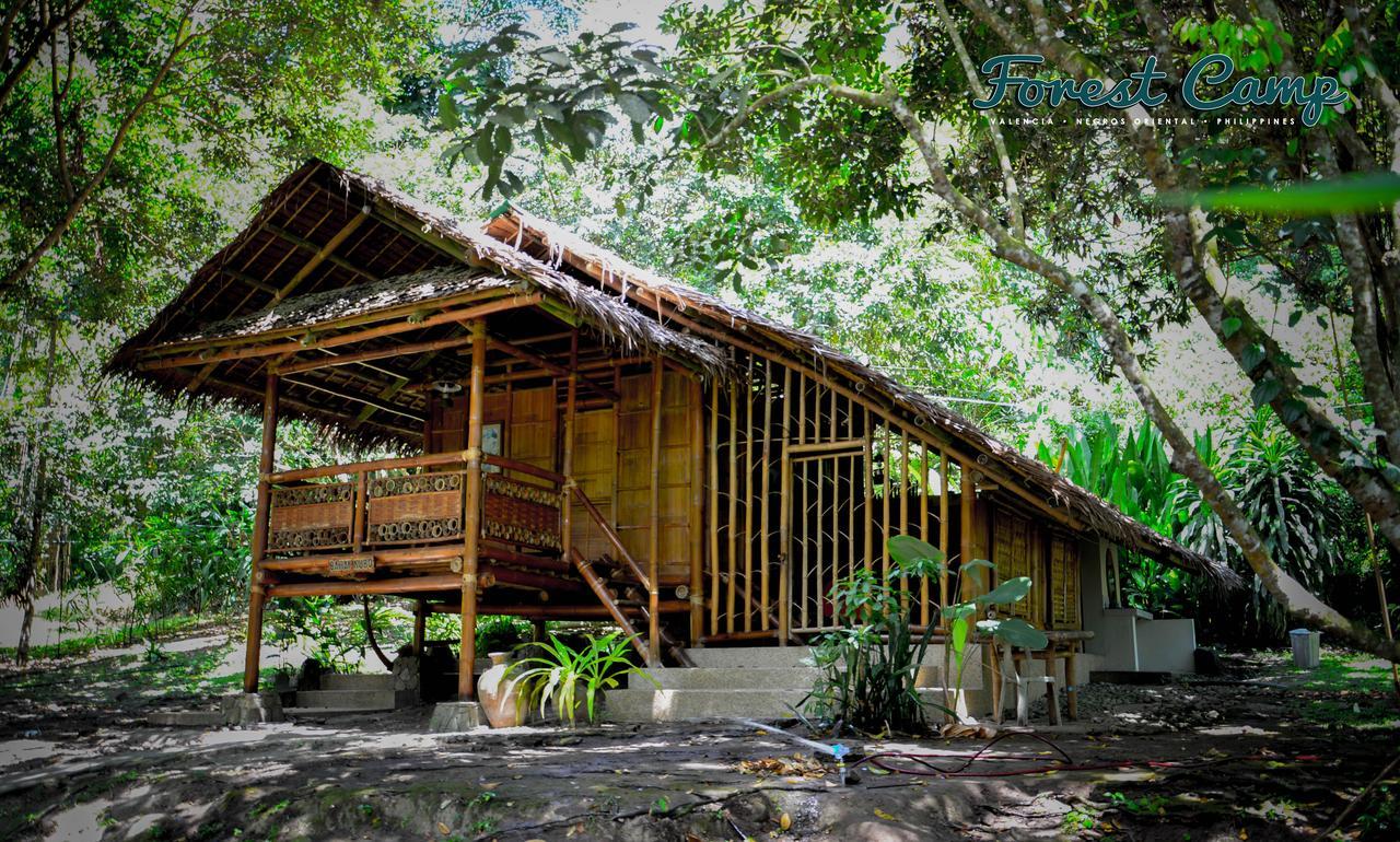 Forest Camp Resort Valencia  Bagian luar foto