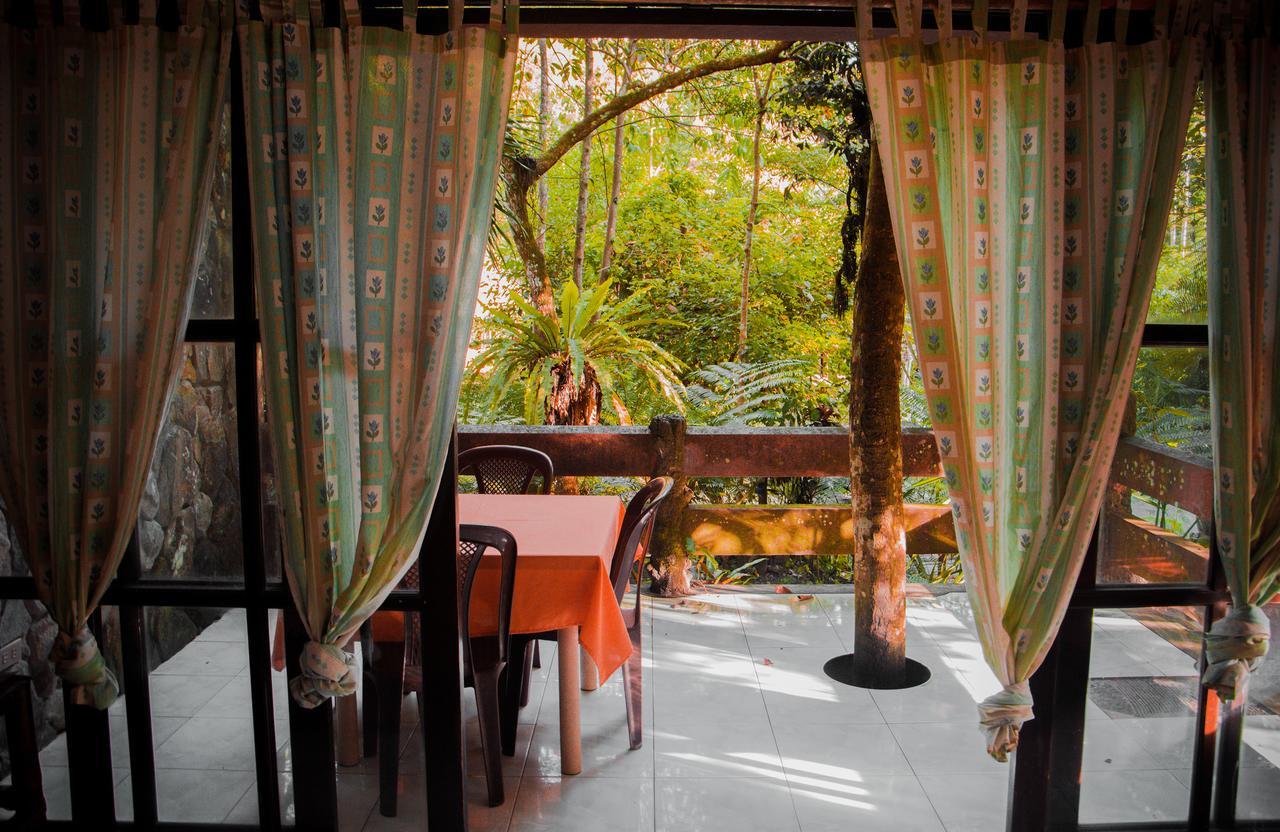 Forest Camp Resort Valencia  Bagian luar foto